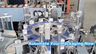 Astucciatrice completamente automatica a caricamento verticale